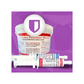 préparation musculaire cheval