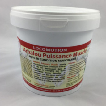 Arbalou Pack Prep Muscle