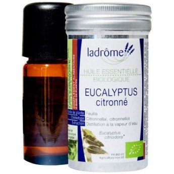 HUILE ESSENTIELLE EUCALYPTUS CITRONNE BIO