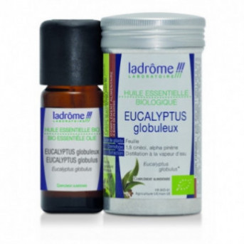 HUILE ESSENTIELLE EUCALYPTUS GLOBULUS - La boutique de l'Arbalou