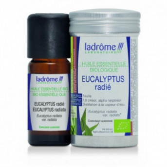 HUILE ESSENTIELLE EUCALYPTUS RADIATA - La boutique de l'Arbalou