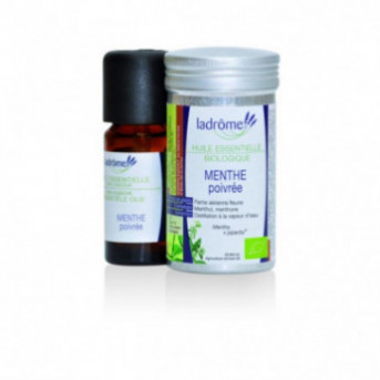 HUILE ESSENTIELLE MENTHE POIVREE cheval - huile essentielle cheval -…