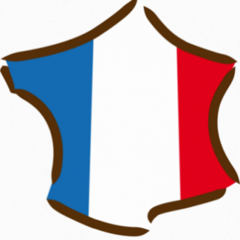 ARBALOU ESSENTIELLES HUILE ESSENTIELLE MENTHE POIVREE