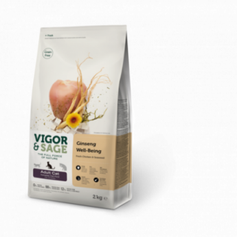 vigor and sage Chat ginseng