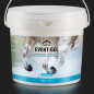 VEREDUS VASELINE EVENT GEL VEREDUS VASELINE EVENT GEL