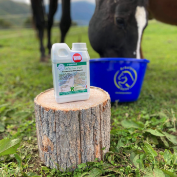 Cmv cheval -  La boutique de l'Arbalou