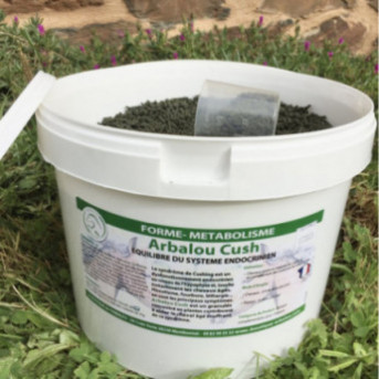 Cushing cheval - maladie cushing cheval - maladie de cushing cheval - maladie de cushing cheval traitement - syndrome de