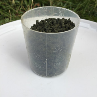 Arbalou Cush – PPID & Cushing's Horse Supplement