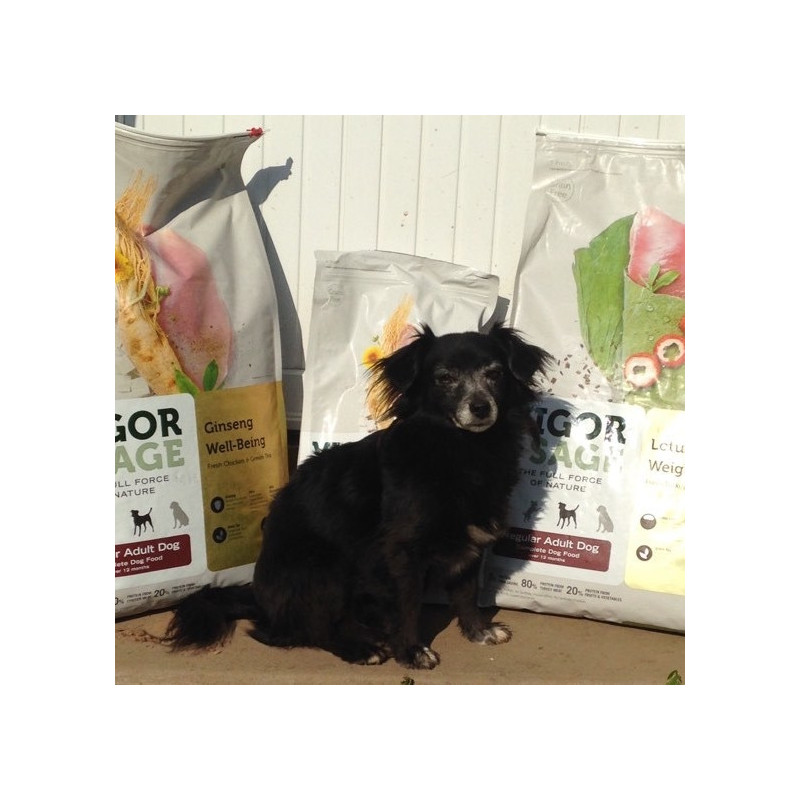 Vigor and Sage Petit Chien et taille standard Beauté Saumon