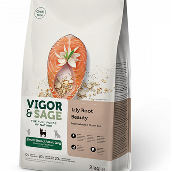 Vigor & Sage - Aliment petit chien et taille standard beauté Saumon