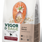 Vigor and Sage Petit Chien et taille standard Beauté Saumon