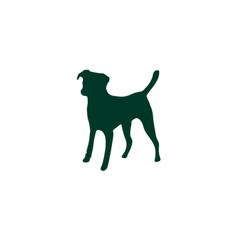 Vigor & Sage Croquette chien sportif