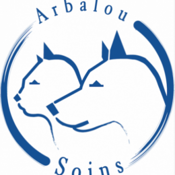 Quel produit utiliser pour laver son chien ? Comment et avec quoi laver un chat ?