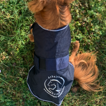 Manteau Chien - manteau impermeable chien - manteau polaire chien