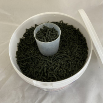 arbalou carcimel traitement mélanome cheval et carcinome cheval