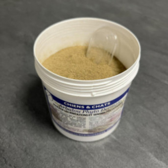 ARBALOU DERMATO CHIEN