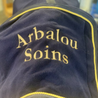 chemise polaire cheval - couverture polaire cheval - couverture cheval