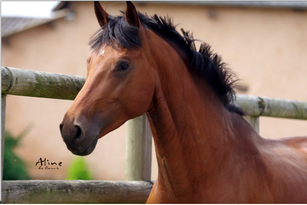 Arbalou Soins vous gâte pour Pâques