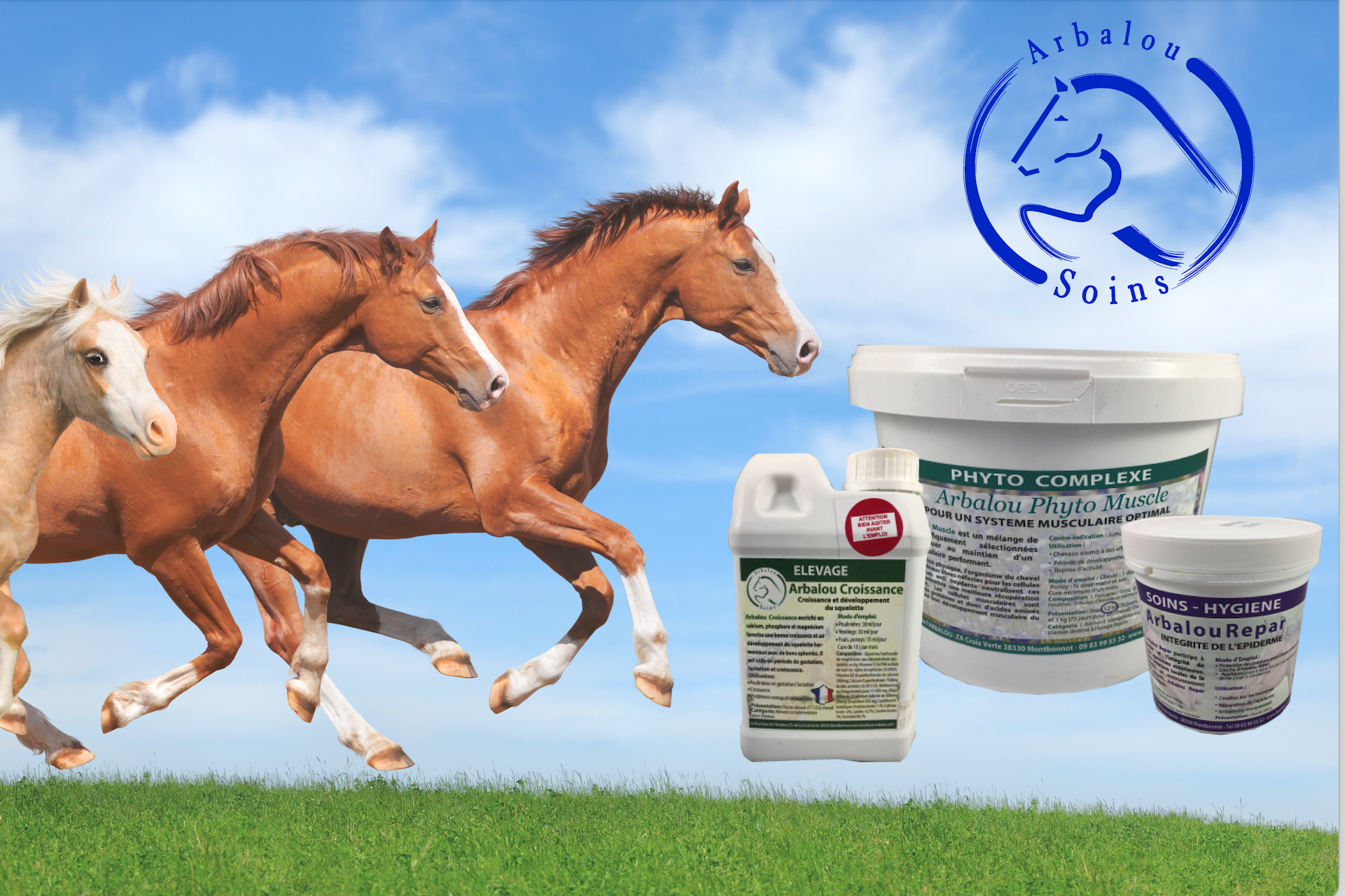Les plantes et compléments alimentaires Arbalou Soins pour chevaux, chiens et chats.
