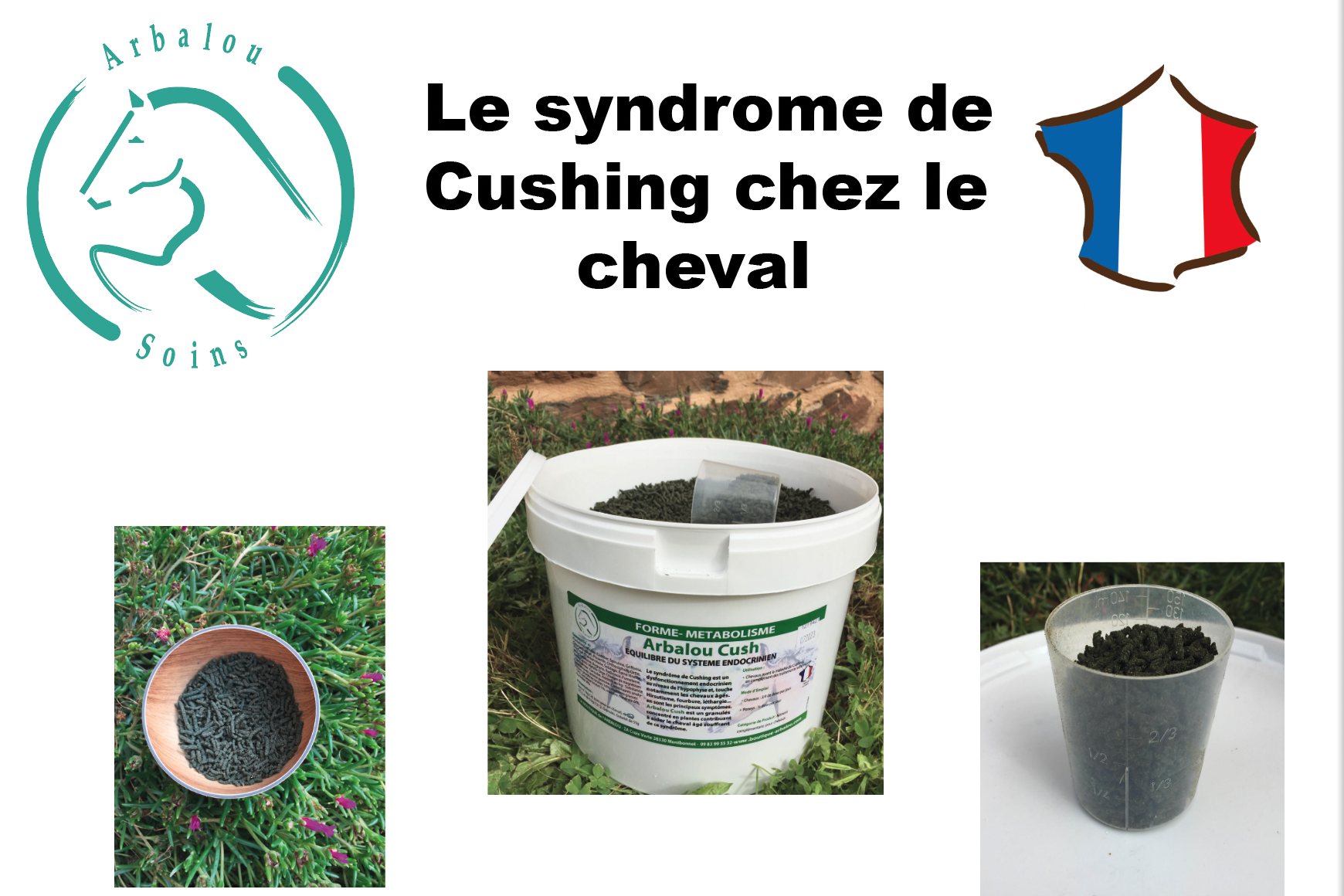 Le syndrome de Cushing chez le cheval