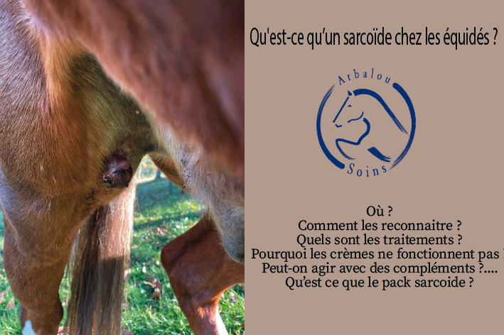 Qu'est-ce qu’un sarcoïde chez le cheval ?