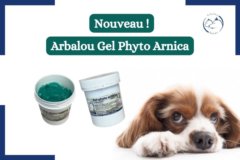 Nouveau, le gel de massage pour chiens et chats.