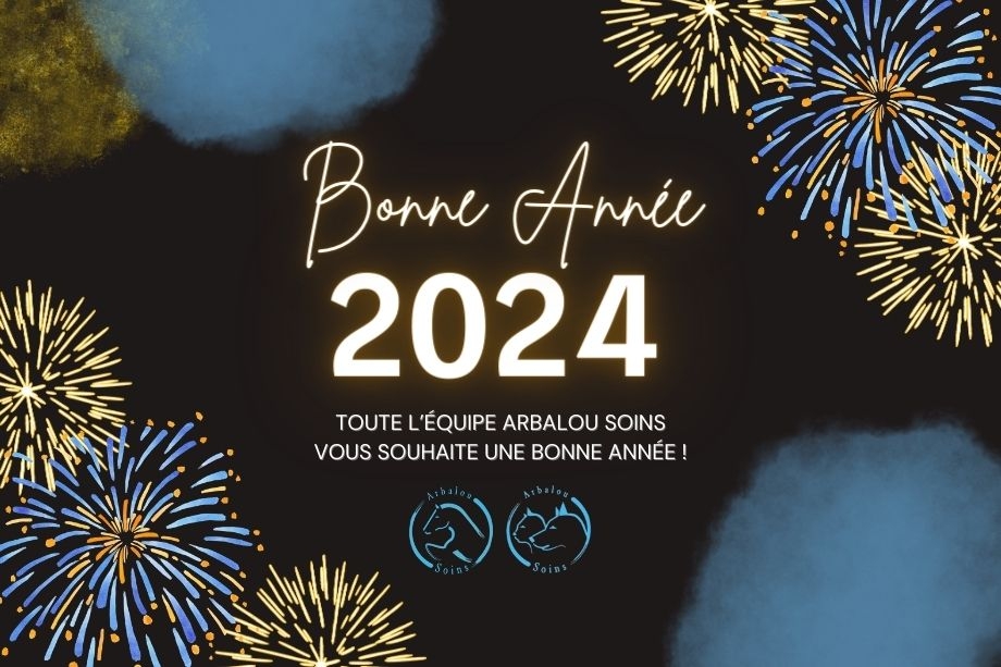 Bonne année 2024