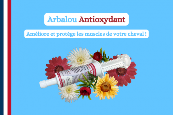 Qu'elle est cette seringue pour cheval à base d'antioxydants ?