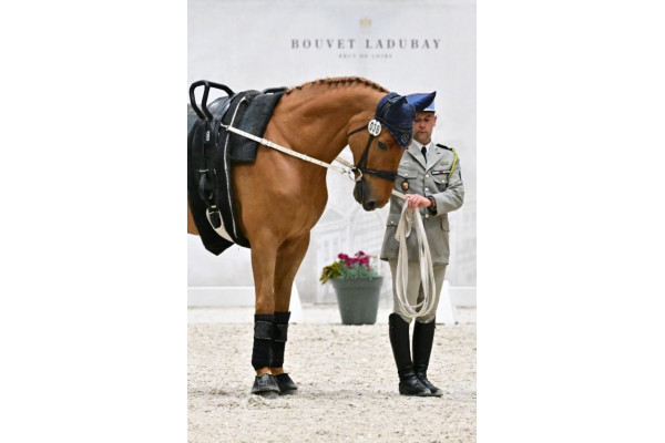 Arbalou Soins partenaire des voltigeurs