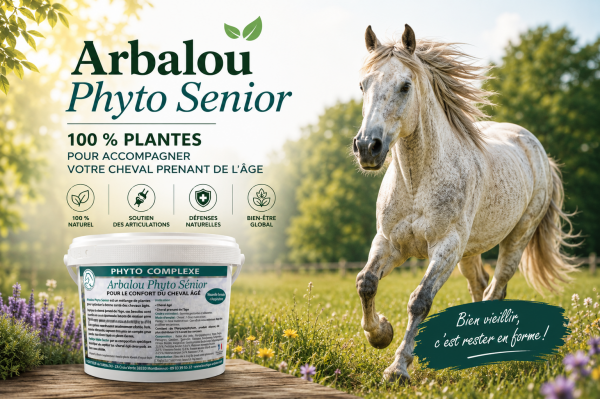 Arbalou Phyto Senior, complément alimentaire pour chevaux agés 100 % naturel