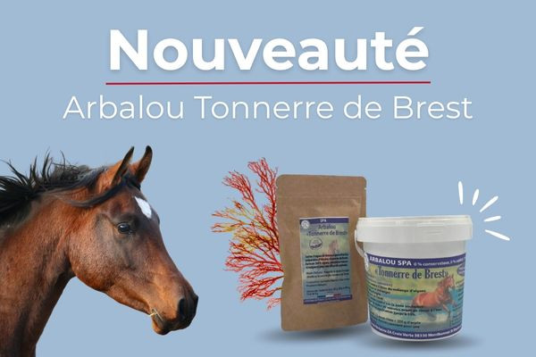 Nouvelle argile pour cheval Tonnerre de Brest