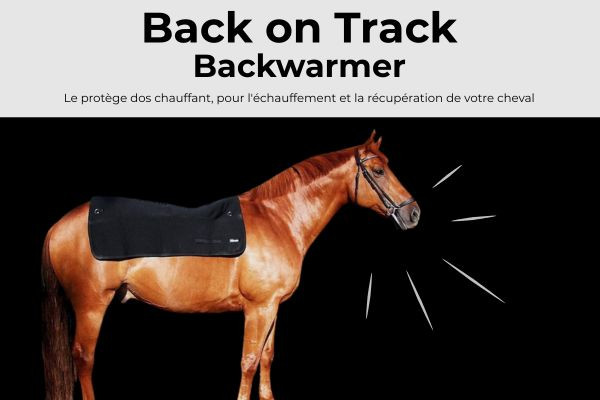 Back on Track : le duo incontournable pour le confort et la performance du cheval