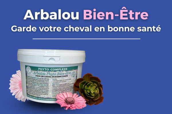 Arbalou Phyto Bien-être : le complément naturel pour le bien-être de votre cheval.