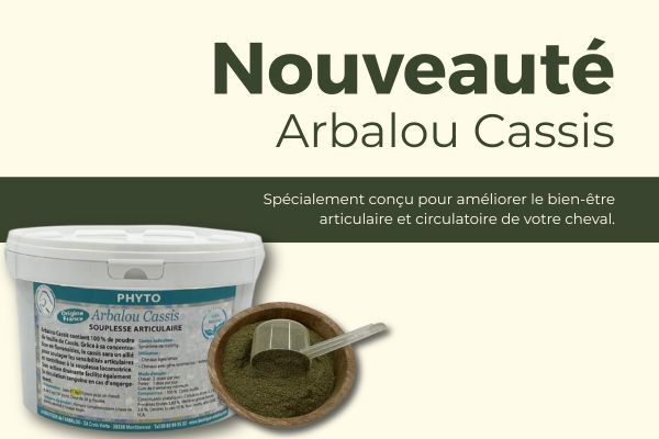 Nouveau chez Arbalou Soins !