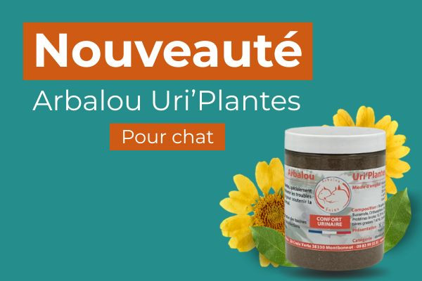 Nouveau : Arbalou Uri'Plantes chat