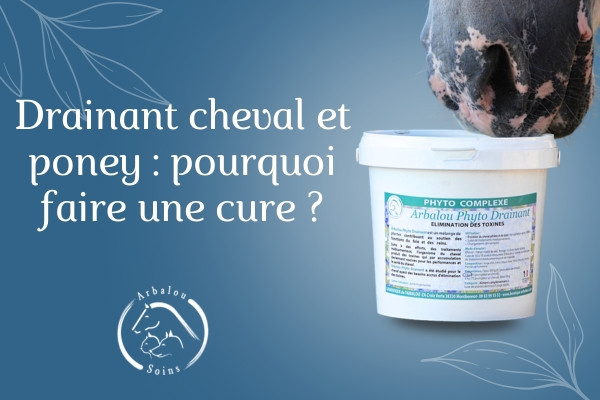 Drainant cheval et poney : pourquoi faire une cure détox ?