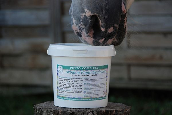 Drainants pour chevaux : pourquoi, quand et pour quels chevaux ?