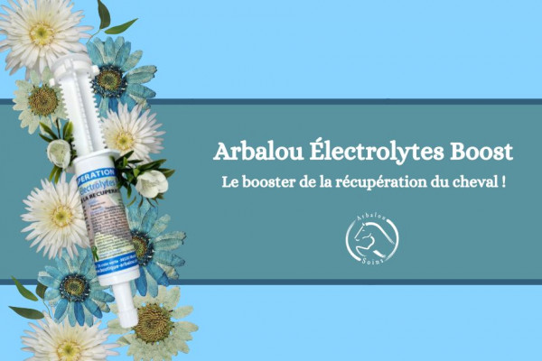 Découvrez l'électrolyte en seringue pour le bien-être de votre cheval.