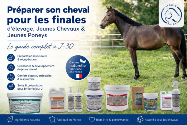 Préparer son équidé pour les finales d'élevage : le guide complet à J-30
