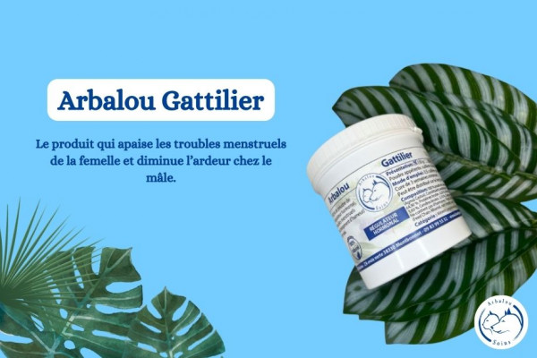 Découvrez Arbalou gattilier pour chien et chat