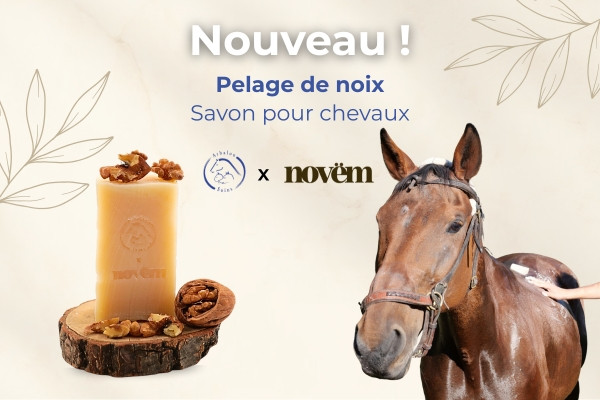 Nouveau produit : Arbalou x Novëm