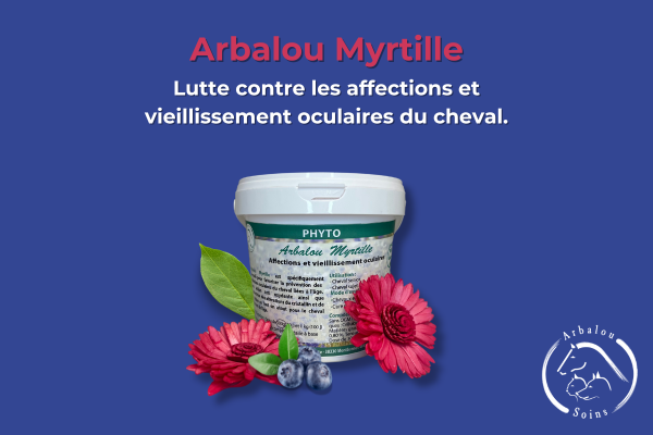 Arbalou Myrtille Cheval