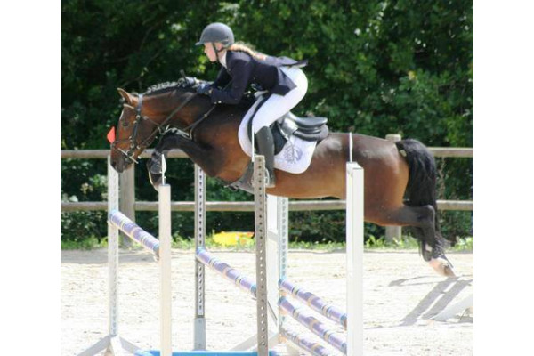 Comment préparer son poney ou son cheval pour les Championnats de France ?
