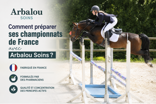 Comment préparer son poney ou son cheval pour les Championnats de France ?