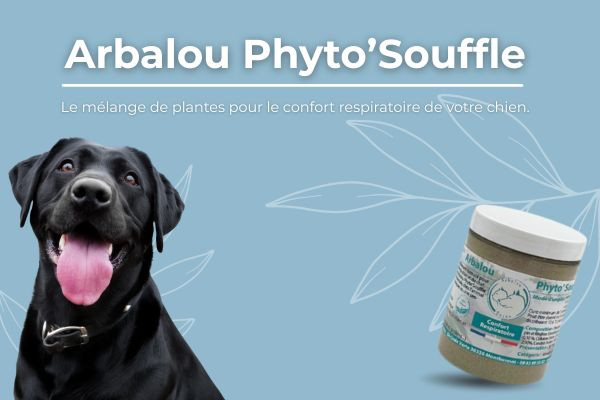 Nouveau, Arbalou Phyto’Souffle Chien – Complément naturel pour le confort respiratoire du chien