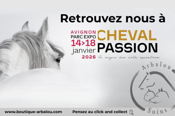 Retrouvez la boutique de l'Arbalou au salon d'Avignon