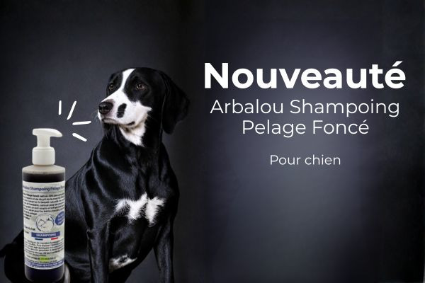 Nouveau ! Shampoing chien pelage foncé : pour sublimer la brillance et l'intensité du poil de votre chien.