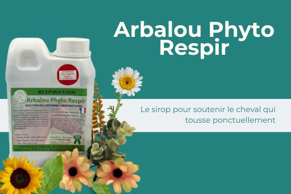 Toux du cheval : une solution naturelle pour la respiration équine avec Arbalou Phyto Respir.