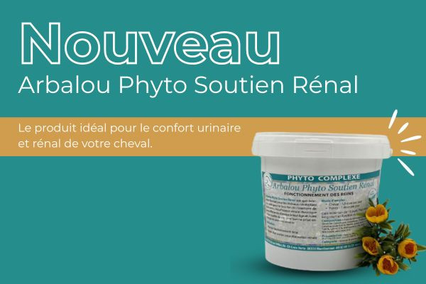 Nouveau chez Arbalou Soins : un soutien rénal naturel pour préserver la vitalité des chevaux.
