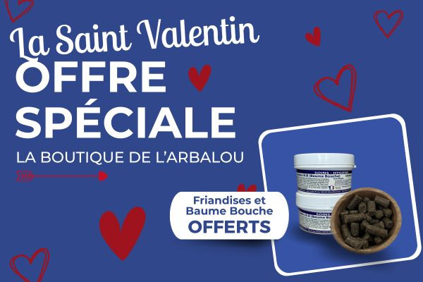 Saint-Valentin : une offre exclusive pour votre cheval, chien ou chat avec  la Boutique de l’Arbalou